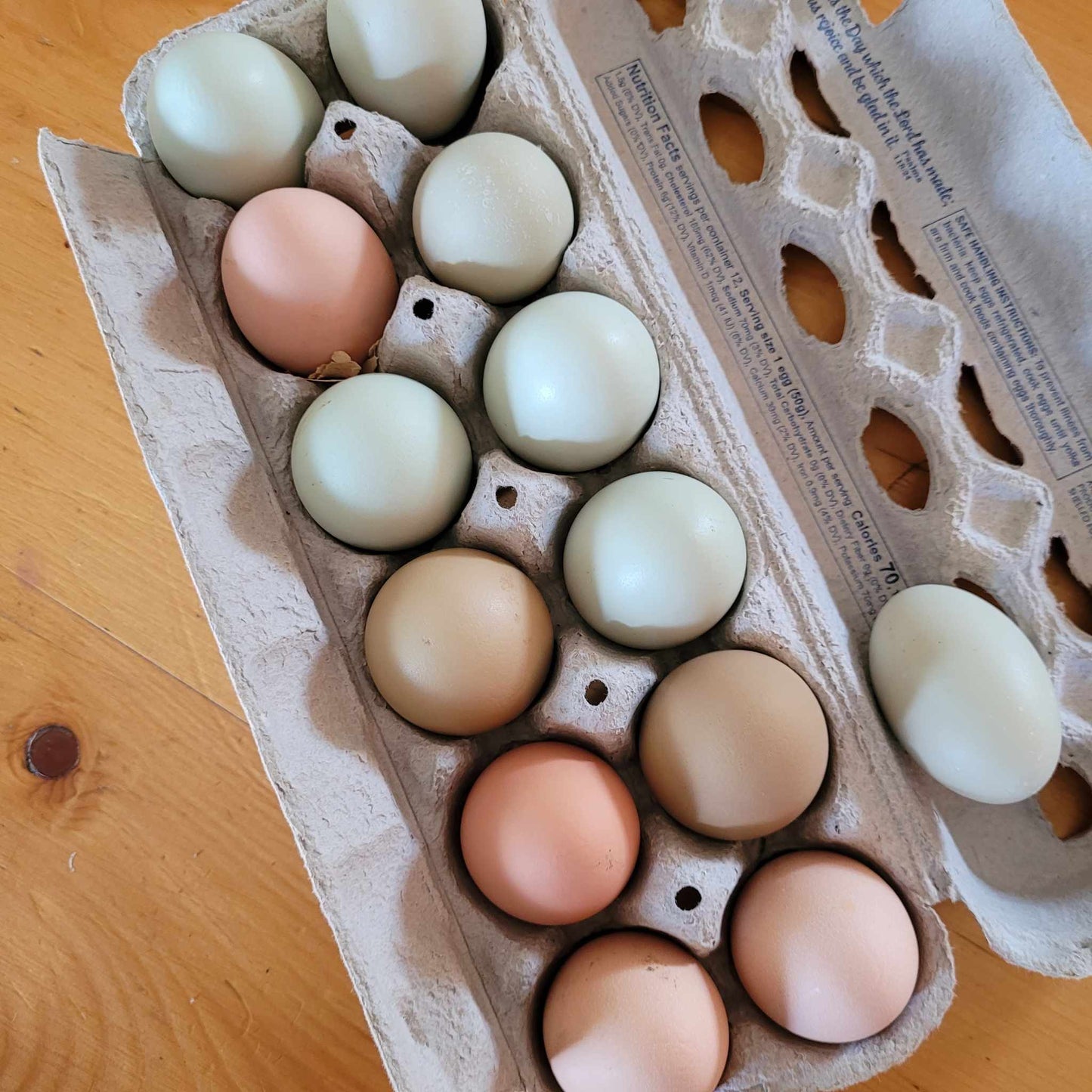 PICK-UP EGGS