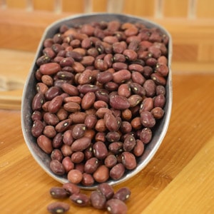 MERLOT SMALL RED BEANS