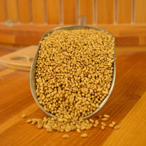 WHEAT BERRIES / APPALACHIAN HARD WHITE WINTER WHEAT